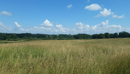 A wide grassy field under a blue sky with fluffy clouds, featuring distant trees and a castle-like structure.