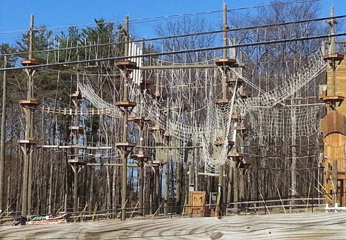 Aerial ropes course with wooden platforms and netting, surrounded by trees under a clear blue sky.