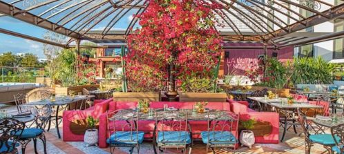 A vibrant outdoor dining area with pink seating, lush greenery, and a large flowering tree under a glass canopy.