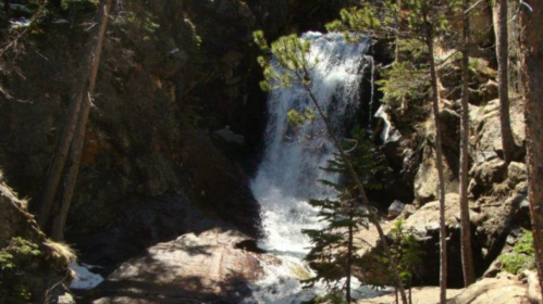 A serene waterfall cascading over rocks, surrounded by tall trees and lush greenery.