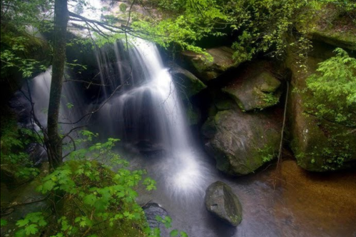 A serene waterfall cascades over rocks, surrounded by lush green foliage in a tranquil forest setting.