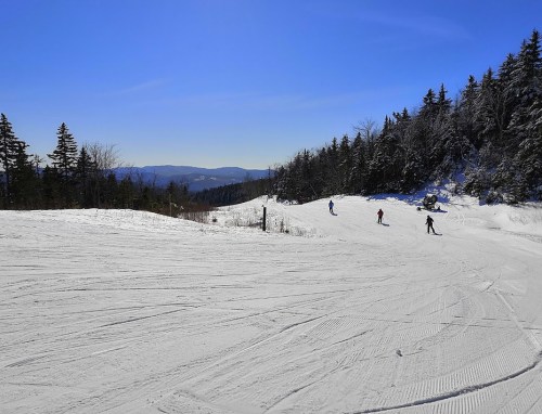 Skiers glide down a snowy slope under a clear blue sky, surrounded by evergreen trees and distant mountains.