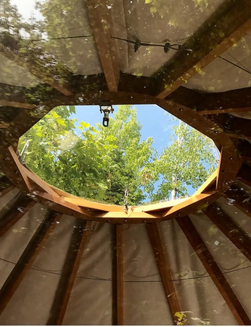 View from inside a yurt, showing a circular skylight framed by wooden beams and greenery above.