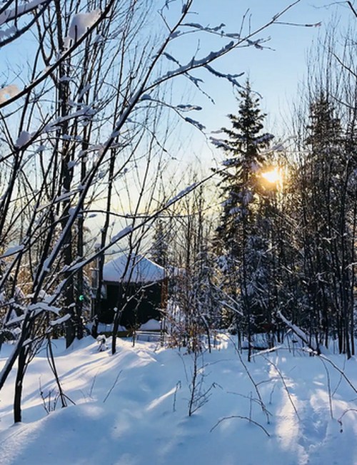 A serene winter scene with snow-covered trees and a cabin, illuminated by the soft glow of the setting sun.