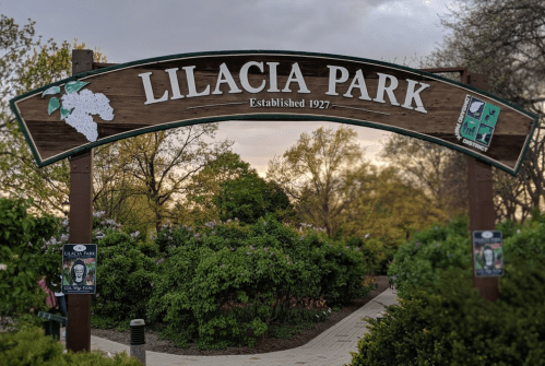Sign for Lilacia Park, established in 1927, surrounded by lush greenery and trees.