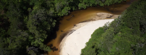 Aerial view of a winding river surrounded by lush green trees and a sandy beach.