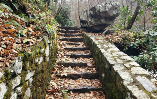 Stone steps covered in leaves, flanked by mossy walls and a large rock, leading through a wooded area.