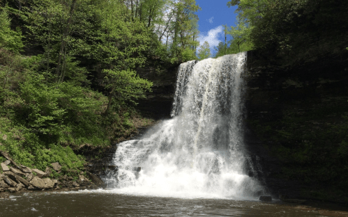 A cascading waterfall surrounded by lush green trees under a blue sky with fluffy clouds.