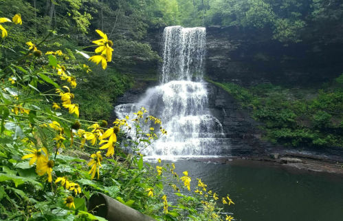 A serene waterfall cascades over rocks, surrounded by lush greenery and vibrant yellow flowers in the foreground.