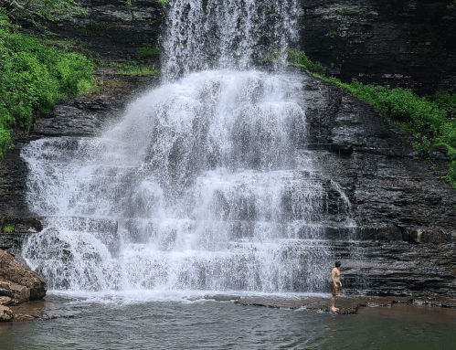 A person stands near a cascading waterfall, surrounded by lush greenery and rocky terrain. Water splashes into a pool below.