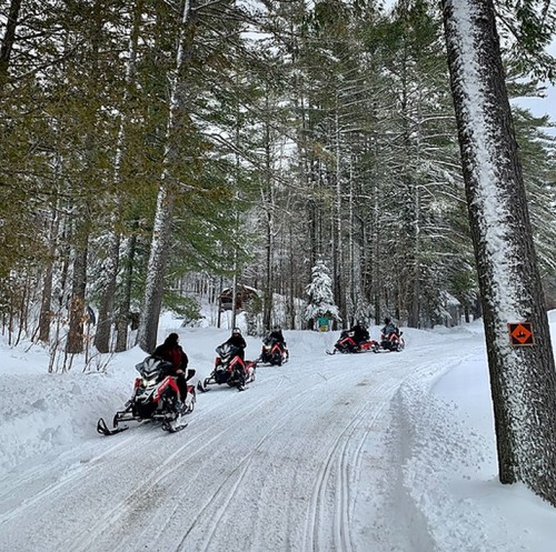 A group of snowmobiles travels down a snowy path surrounded by tall trees in a winter landscape.