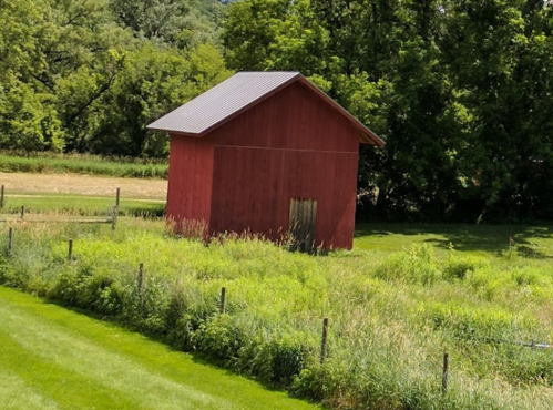 A red barn stands in a grassy field surrounded by trees and tall grass under a clear sky.