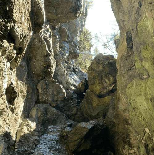 A narrow rocky canyon with towering walls and sunlight filtering through the trees above.