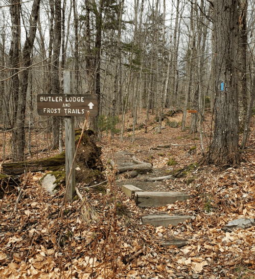 A wooden sign points to Butler Lodge and Frost Trails, surrounded by a forest with fallen leaves and bare trees.