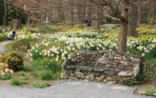 A stone bench in a garden filled with blooming flowers, with a person tending to the plants in the background.