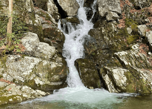 A small waterfall cascading over moss-covered rocks in a serene natural setting.