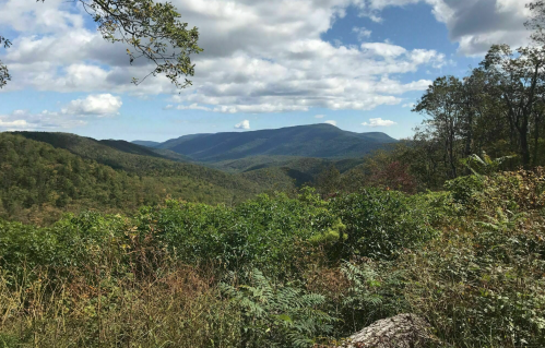 A scenic view of rolling green mountains under a partly cloudy sky, framed by lush vegetation in the foreground.