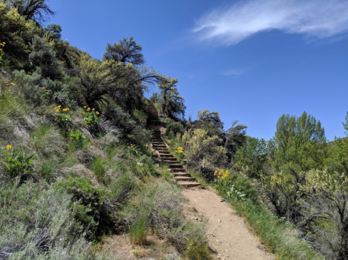 A winding dirt path leads up stone steps through lush greenery and wildflowers under a clear blue sky.