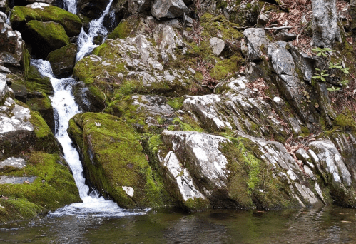 A serene waterfall cascading over moss-covered rocks into a calm pool below, surrounded by lush greenery.