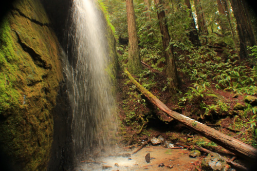 A serene waterfall cascades over moss-covered rocks, surrounded by lush green trees in a tranquil forest setting.