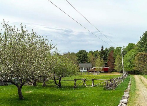 A rural scene featuring blossoming trees, a house, and a dirt road lined with a wooden fence under a cloudy sky.