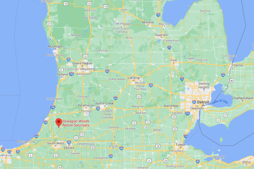 Map showing the location of Dowagiac Woods Nature Sanctuary in Michigan, near South Bend and Detroit.