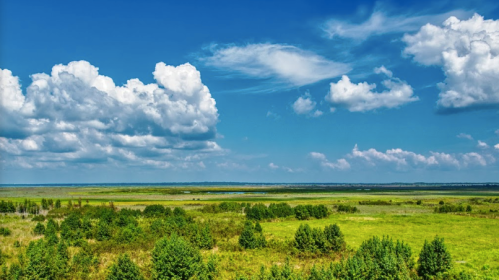 A vibrant landscape featuring green fields, scattered trees, and a bright blue sky with fluffy white clouds.