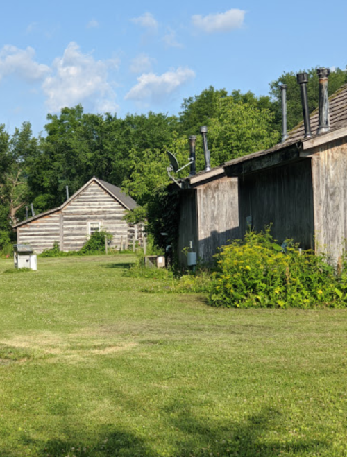 Two rustic wooden buildings surrounded by green grass and trees under a clear blue sky.