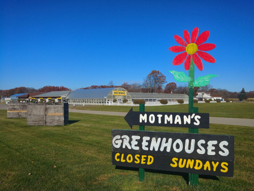 A colorful sign for Motman's Greenhouses with a flower, set against a clear blue sky and green fields.