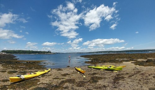 A sunny beach scene with yellow kayaks on the shore and a person paddleboarding in calm waters under a blue sky.