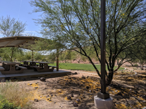 A shaded picnic area with tables under a pavilion, surrounded by desert vegetation and a clear blue sky.