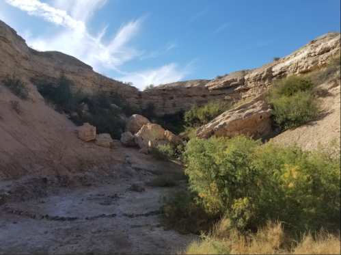 A rocky canyon with sparse vegetation under a blue sky with wispy clouds.