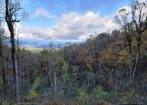 A scenic view of a forest with autumn foliage and distant mountains under a partly cloudy sky.
