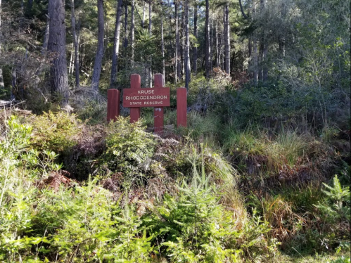 Sign for Kruse Rhododendron State Reserve surrounded by lush greenery and trees.