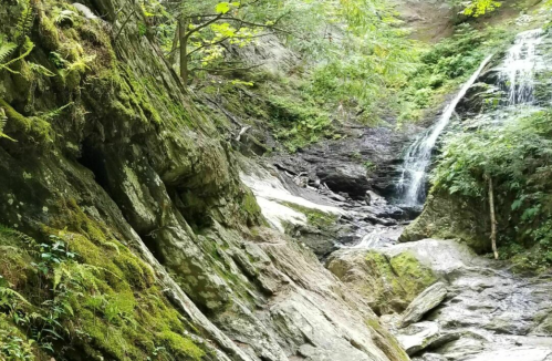 A serene waterfall cascading over moss-covered rocks, surrounded by lush greenery and trees.