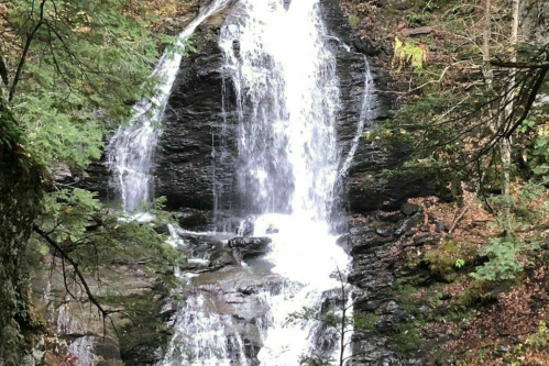 A cascading waterfall flows down rocky terrain, surrounded by lush green trees and autumn foliage.