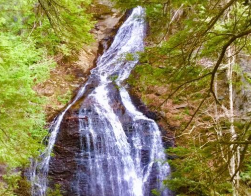 A cascading waterfall surrounded by lush green trees in a serene forest setting.