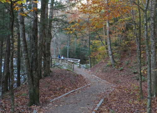 A winding path through a forest with autumn leaves, leading to a wooden railing by a river. Two people are in the distance.
