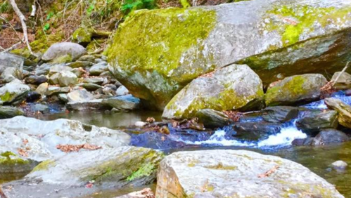 A serene stream flows over smooth rocks, surrounded by lush greenery and moss-covered boulders.