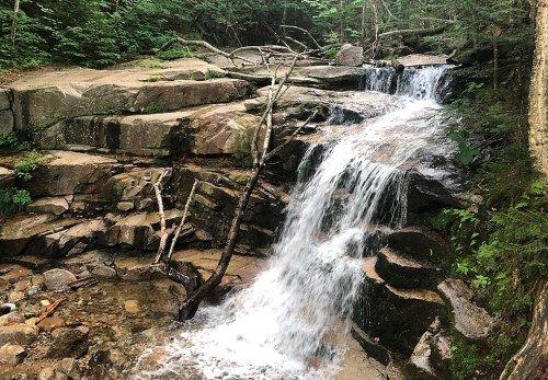 A serene waterfall cascades over rocky terrain, surrounded by lush greenery and trees in a tranquil forest setting.