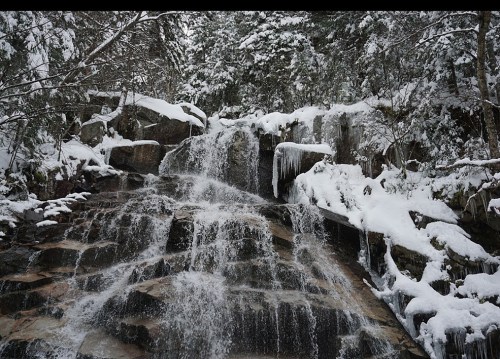 A snowy waterfall cascading over rocky terrain, surrounded by trees and ice.