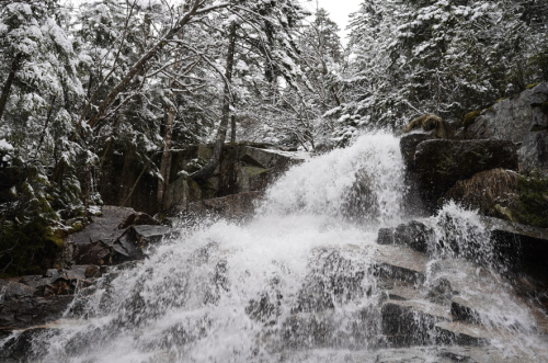 A snowy landscape featuring a cascading waterfall surrounded by trees and rocky terrain.