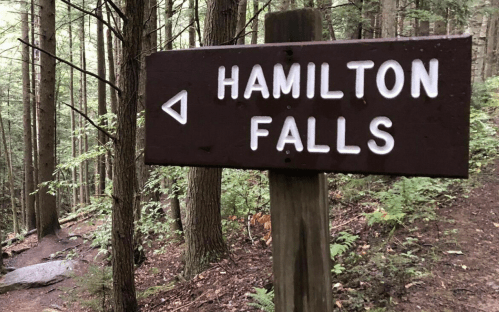 Wooden sign pointing left to "Hamilton Falls" along a forested hiking trail.