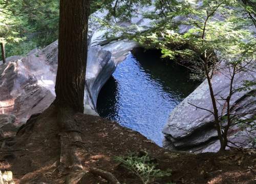 A serene natural scene featuring a deep pool of water surrounded by rocky terrain and lush greenery.