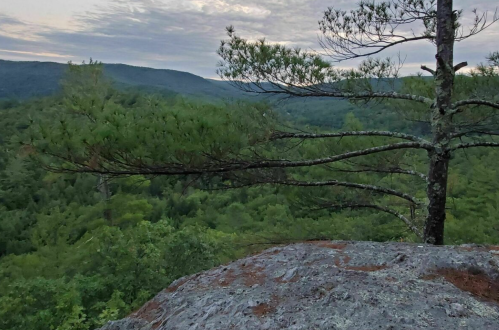 A rocky outcrop overlooks a lush green forest and distant mountains under a cloudy sky.
