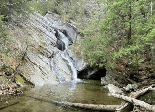 A serene waterfall cascades over rocky terrain into a calm pool, surrounded by lush greenery and fallen logs.