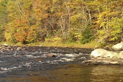 A serene river flows through a forest with vibrant autumn foliage along the banks.