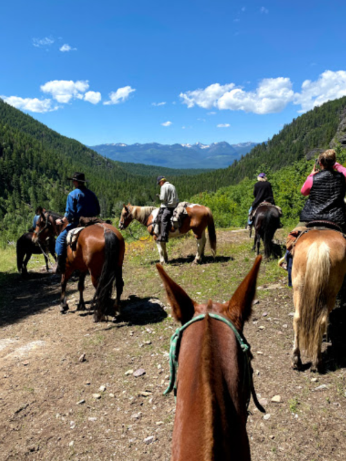 A group of horseback riders on a trail overlooking a lush valley and distant mountains under a blue sky.