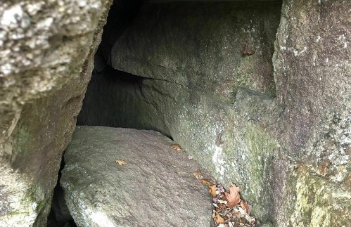 A narrow crevice between large, moss-covered rocks with scattered leaves on the ground.
