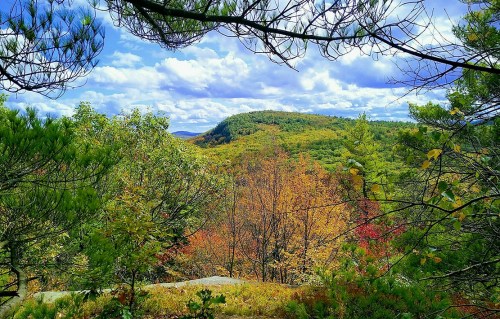 A scenic view of rolling hills and colorful autumn foliage under a partly cloudy sky, framed by tree branches.